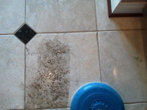 Cleaning a Travertine kitchen floor in king george va