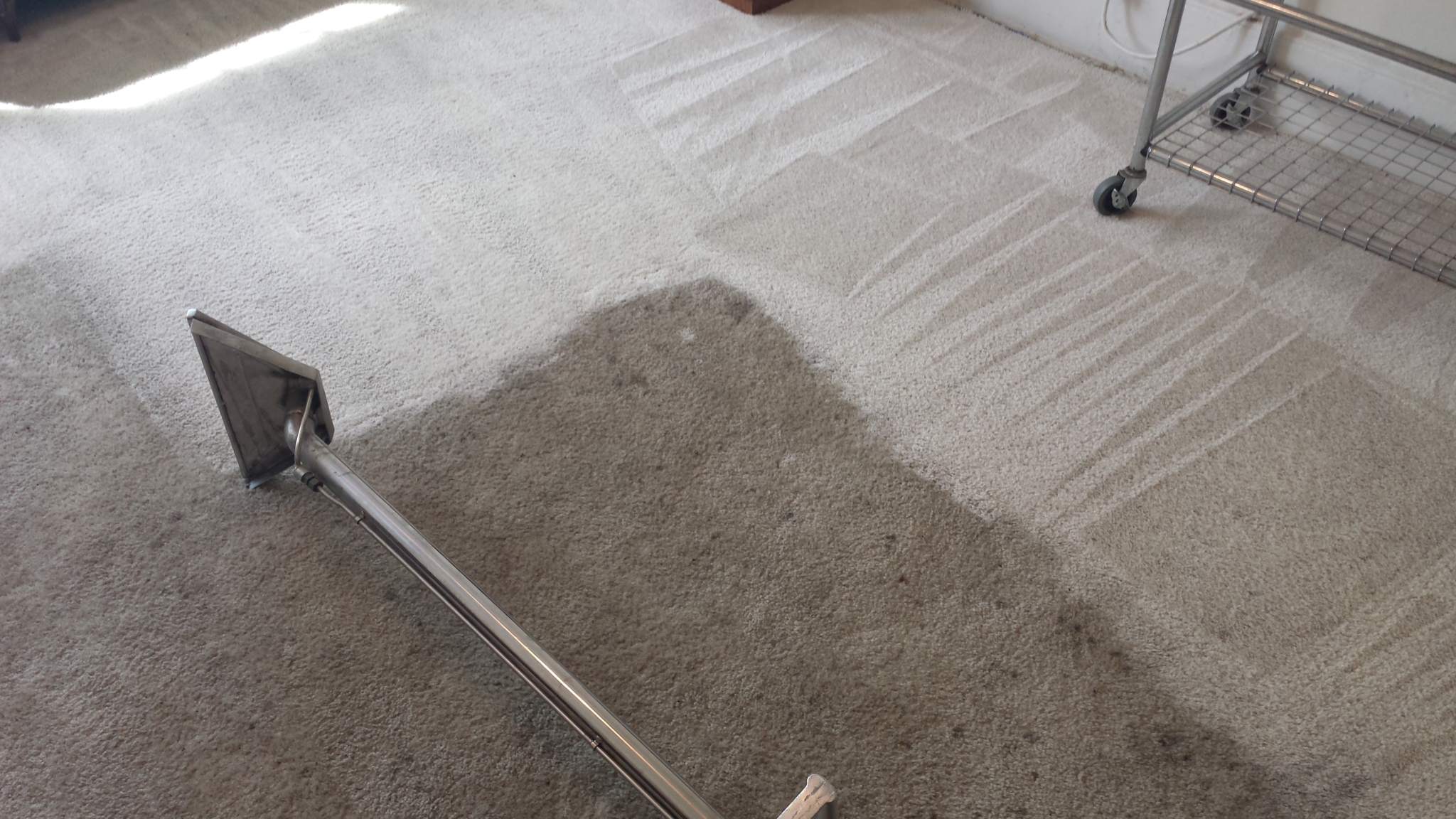 Remarkable carpet cleaning results