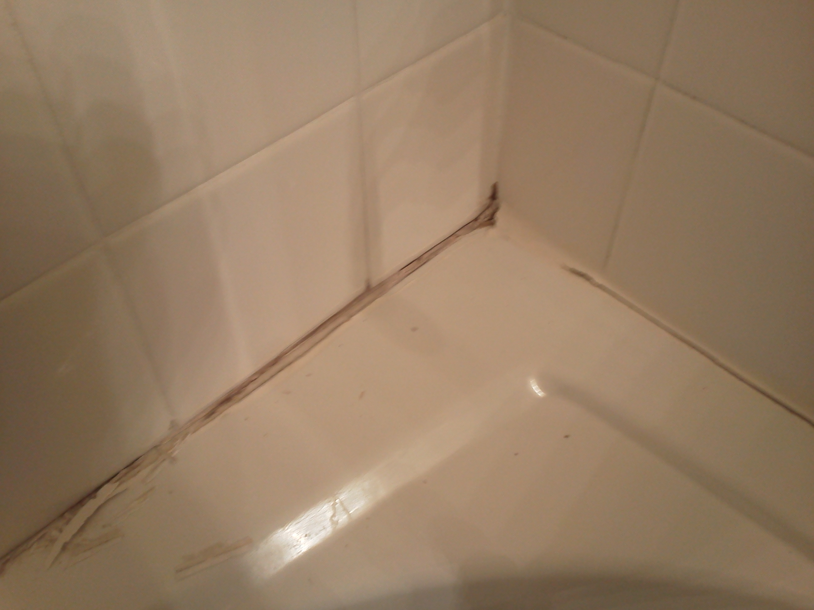 A Minor Shower Repair Could Save, How To Caulk Shower Tile Floor