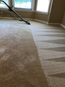 Carpet Cleaning Archives Pristine Tile Carpet Cleaning